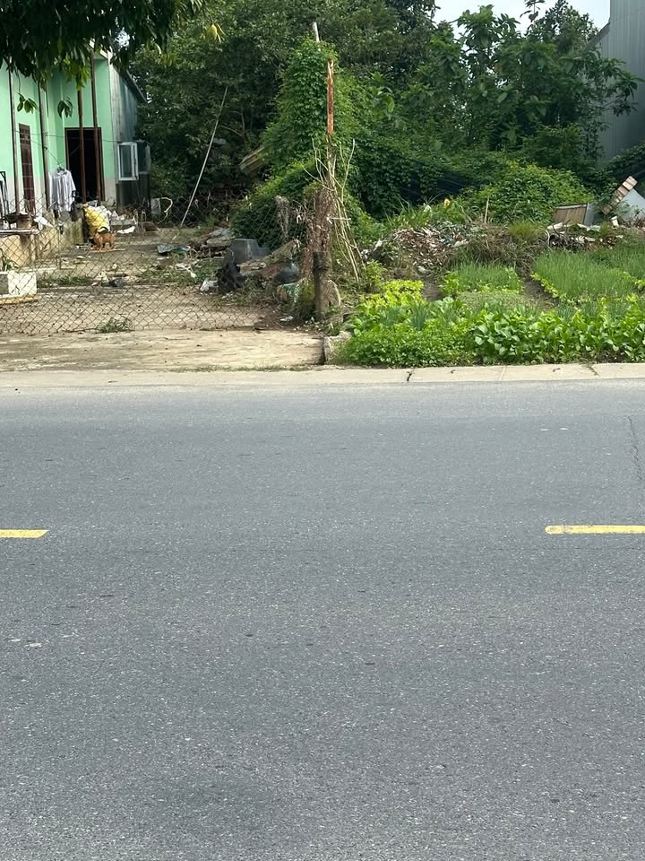 Bán FrontHouse mặt tiền đường Võ Chí Công, Thị Trấn Ái Nghĩa, 180m² - Giá tốt hiếm có!