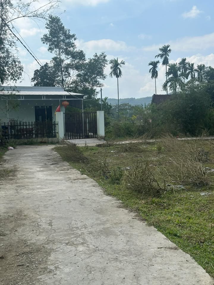 Đất nền thôn Thạch Kiều, xã Tam Xuân II, 140m² giá 300 triệu - Cơ hội đầu tư sinh lời!