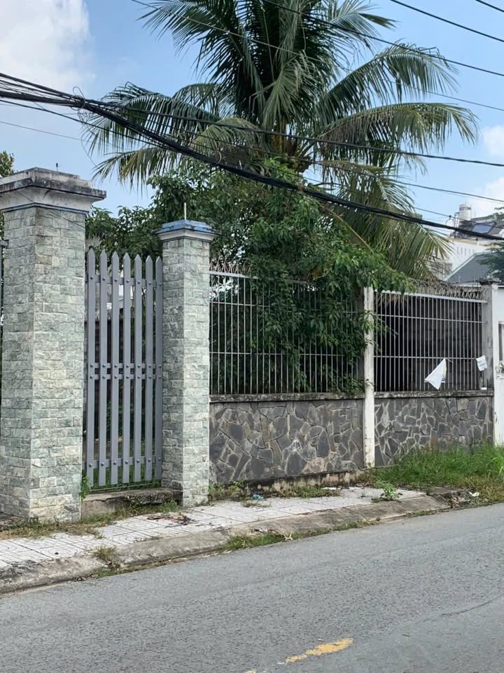 Đất Farm 1 hecta tại Tô Ký, Quận 12 - Giá hấp dẫn dưới 200 tỷ!