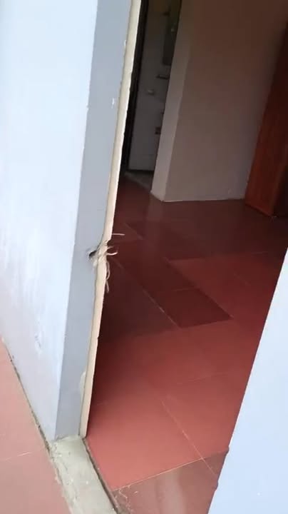 Phòng trọ Cầu Giấy 30m² giá 3 triệu - Không chung chủ, nội thất đầy đủ!