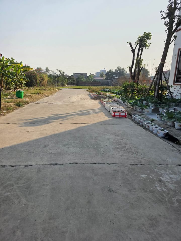 Đất đấu giá TDP Tự, Việt Yên 130m² giá chỉ 2.6 tỷ - Cơ hội đầu tư hấp dẫn!