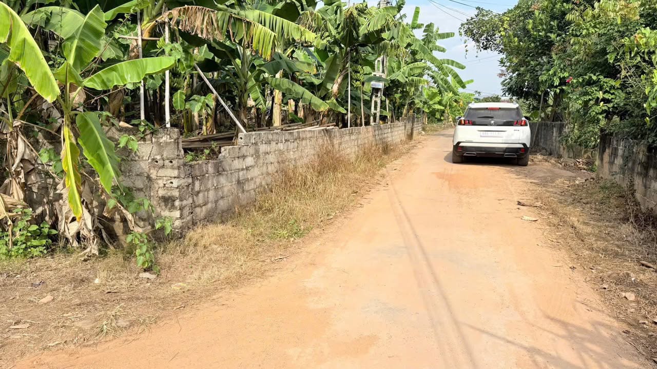 Đất vườn Tân Quang Lục Ngạn 2995m² giá chỉ 1 tỷ - Cơ hội đầu tư tuyệt vời!