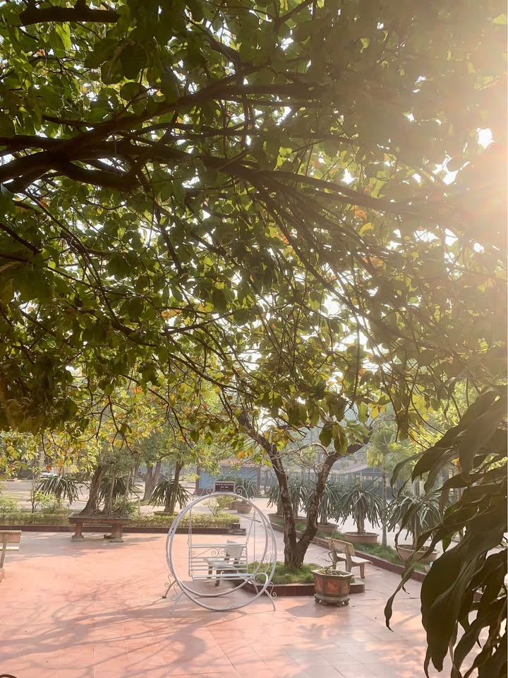 Đất nền tại Ngọc Châu, Tân Yên 120m² giá chỉ 600 triệu - Đầu tư sinh lời ngay!