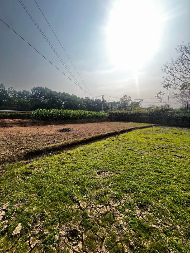 Đất mặt tiền 57m tại Phúc Trìu, 1069m² giá thỏa thuận - Tiềm năng đầu tư sinh lời cao!