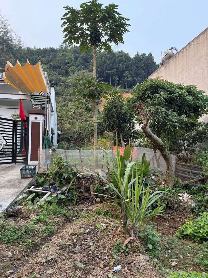 Đất thổ cư Phường Nam Cường 110m² giá 900 triệu - Đường thông ô tô tránh nhau thoải mái!