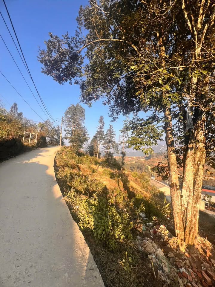 Đất thổ cư 180m² tại Sa Pa - Giá chỉ 5 tỷ - Vị trí tiềm năng!