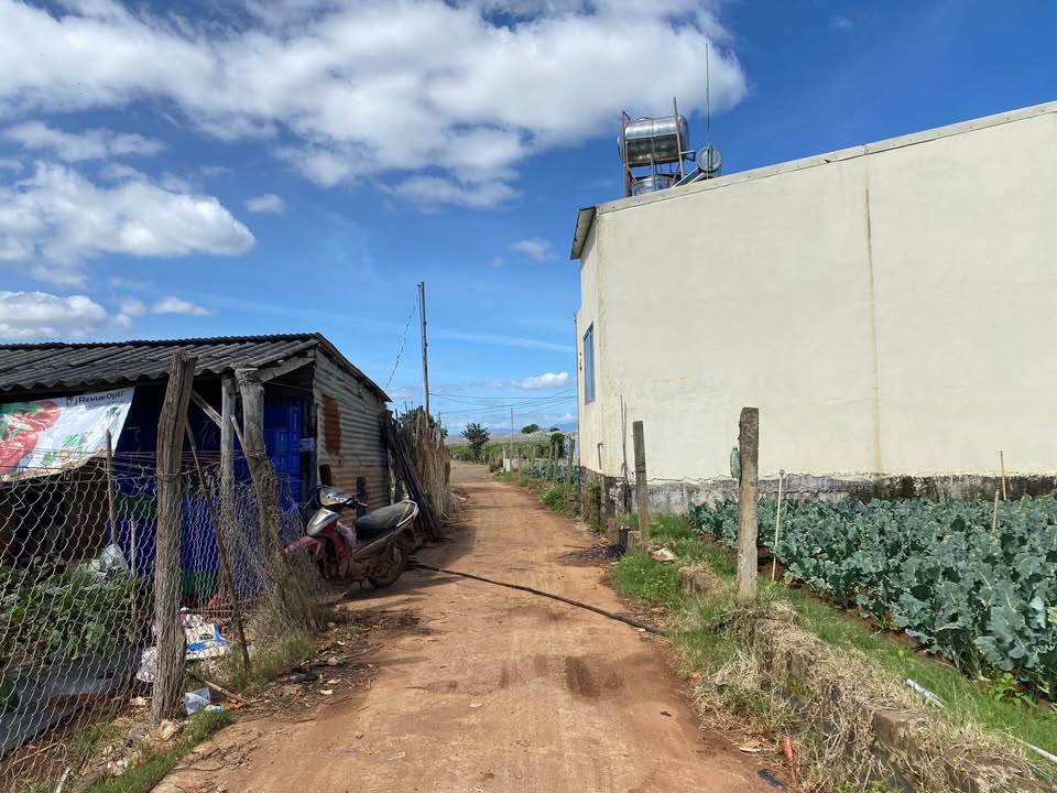 Đất 2 mặt tiền Tân Hội, Lâm Đồng 144m² giá 995 triệu - Cơ hội đầu tư hiếm có!