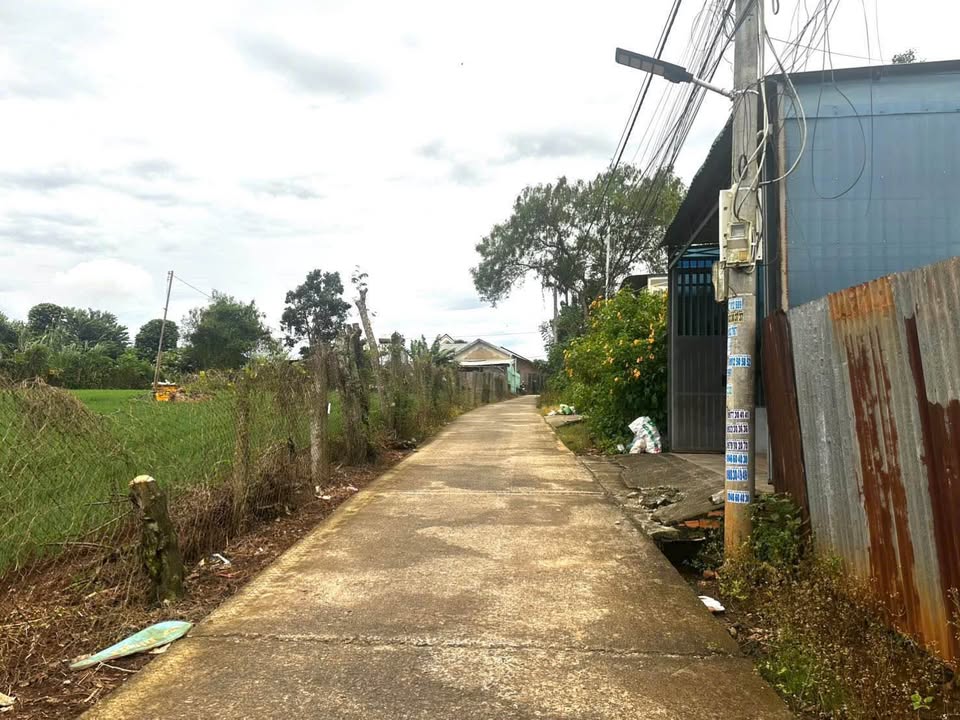 Đất nền Xã Phú Hội, Huyện Đức Trọng, 132m² giá 1.8 tỷ - Đầu tư sinh lời ngay!