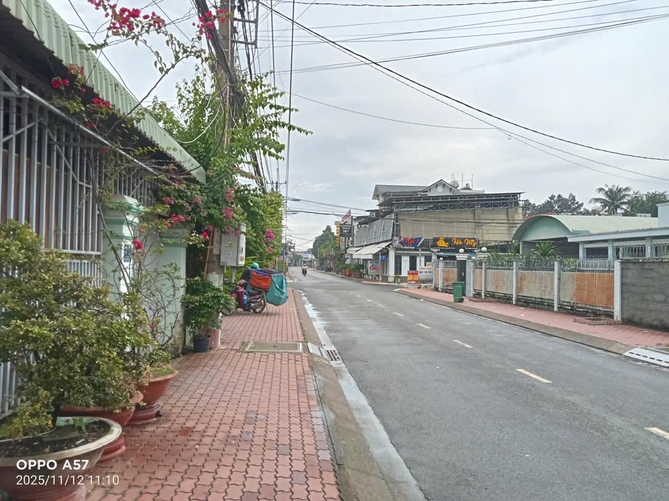 Nhà mặt tiền đường Trần Thị Ngần, Củ Chi 300m² - Cơ hội đầu tư hấp dẫn!