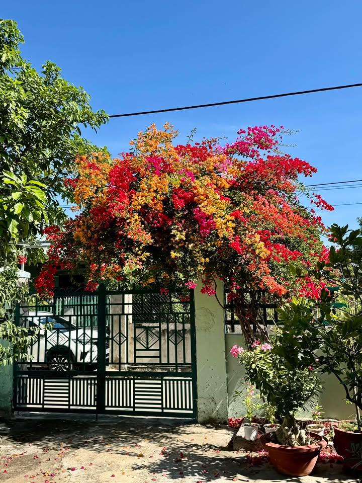 Đất thổ cư Ninh Sơn, Khánh Hòa 128m² giá chỉ 138 triệu - Cơ hội đầu tư hấp dẫn!