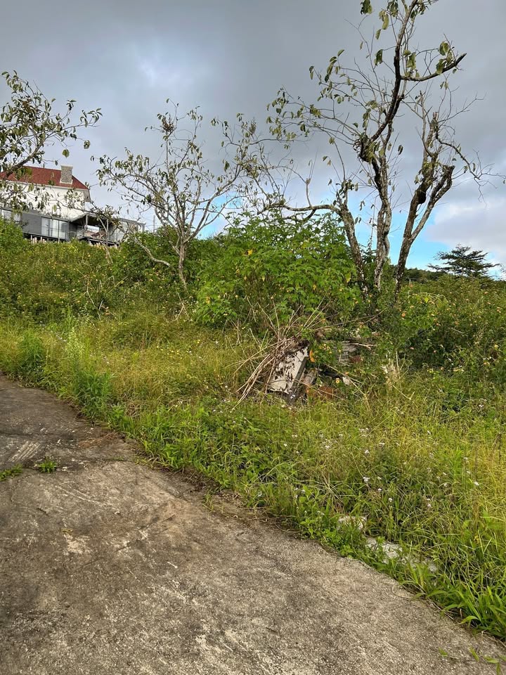 Đất Măng Lin P7 Đà Lạt 541m² giá 3.9 tỷ - Sổ riêng, view thoáng