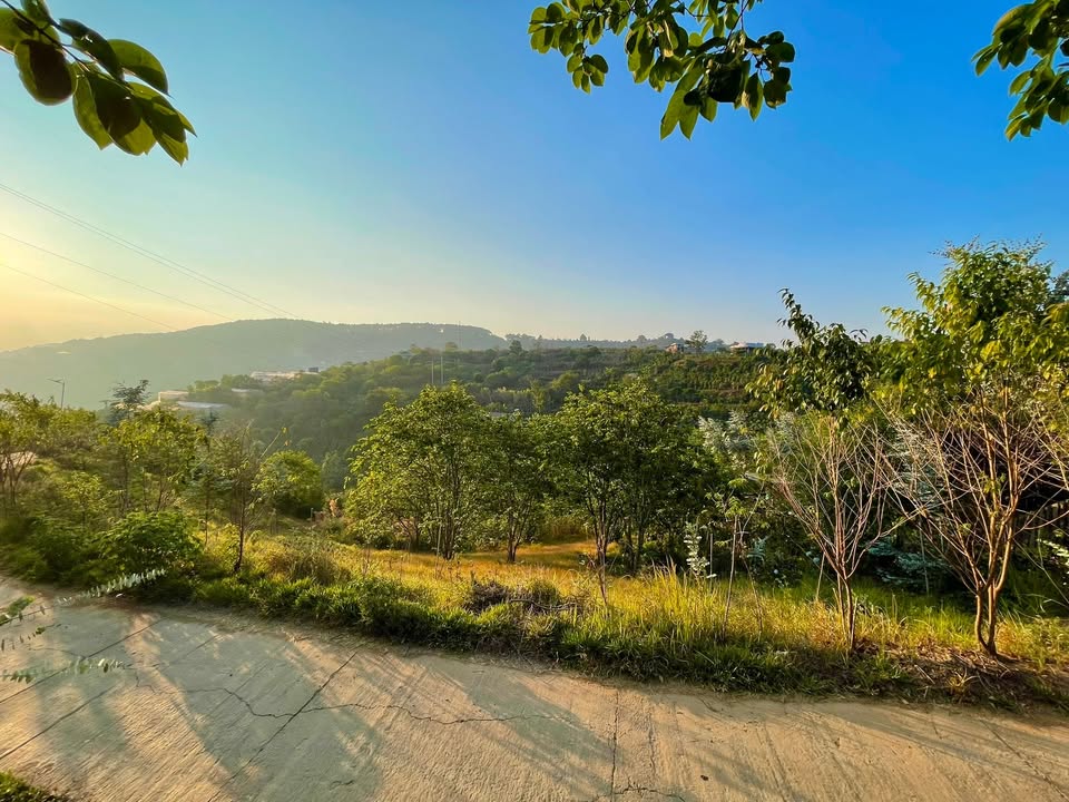 Đất nền 1.200m² tại Cầu Đất, Đà Lạt - Sổ riêng, giá thỏa thuận, view đẹp!