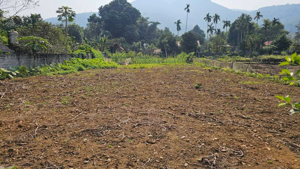 Đất thổ cư 558m² tại Liên Hòa, Lương Sơn - Giá chỉ 2 tỷ phù hợp đầu tư!