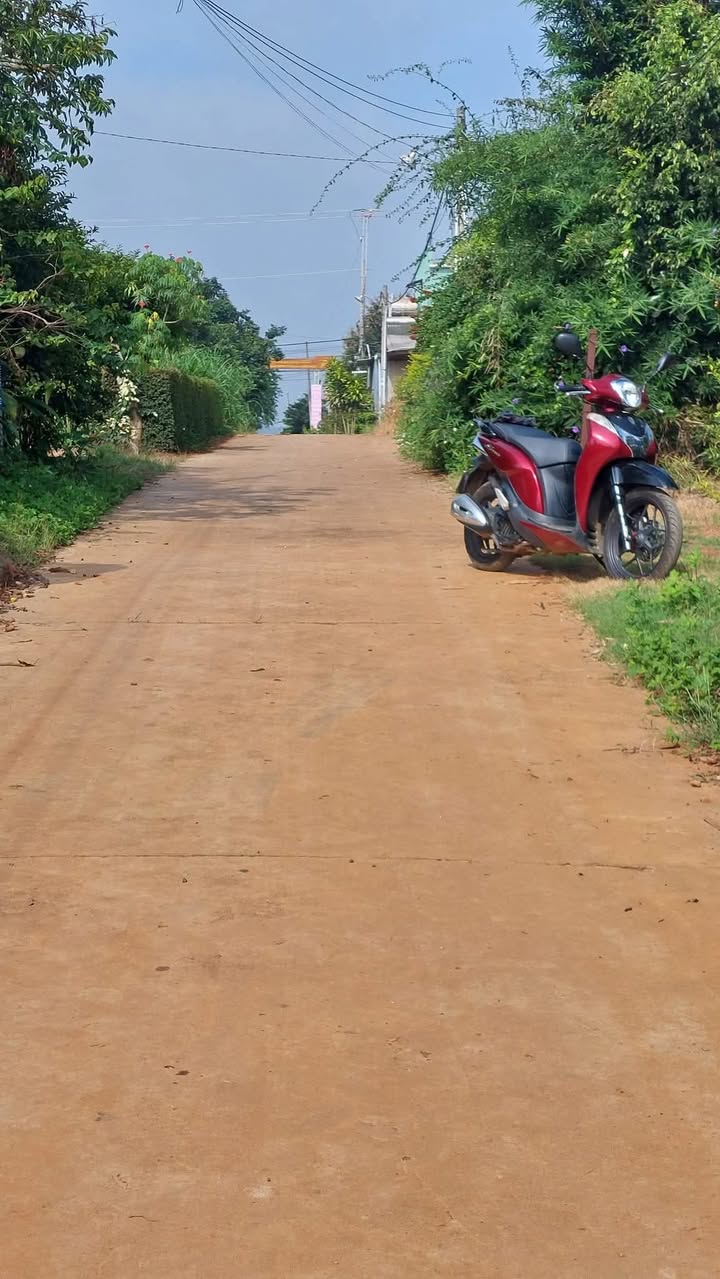 Đất thổ cư 3400m² tại Đường số 5, Xã Quảng Lập - Giá chỉ 4.89 tỷ!