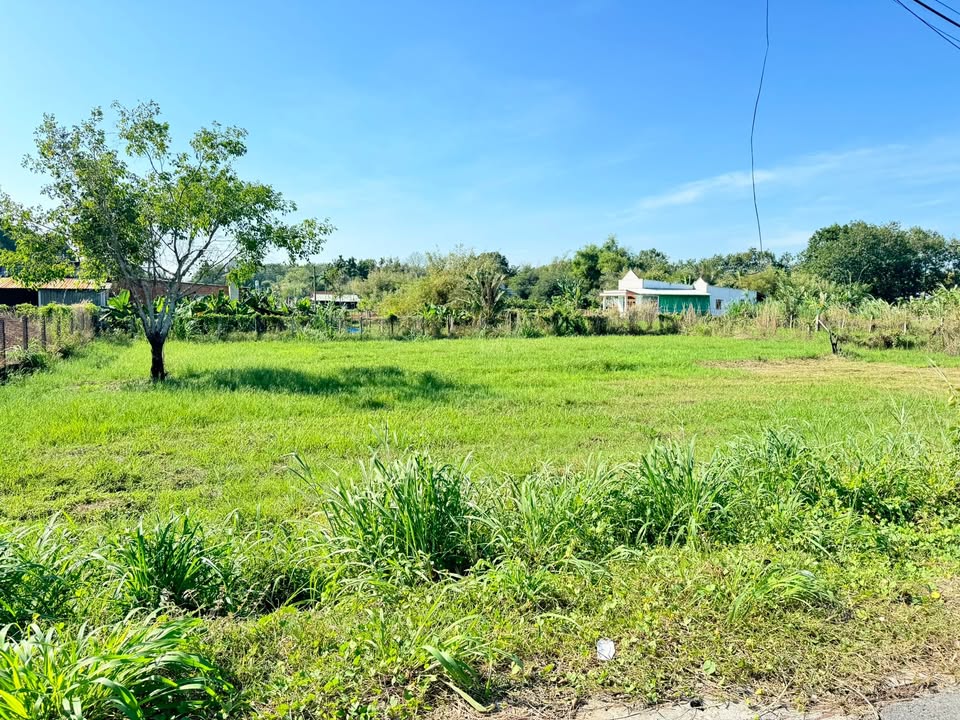 Đất nền Củ Chi 640m² giá 2 tỷ - Thích hợp làm xưởng hoặc nhà vườn!