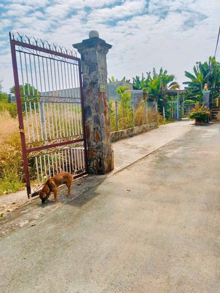 Đất nền ấp 2, xã Tân Thạnh Đông, Củ Chi 280m² giá 2.9 tỷ - Vị trí đẹp, thuận tiện giao thông!