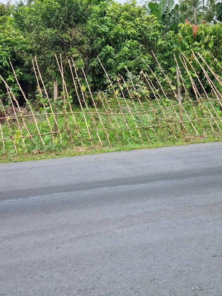 Bán đất 1672m² Tuyến Cầu Nhiếm - Trường Thanh - Gần chợ chỉ 1,3km!