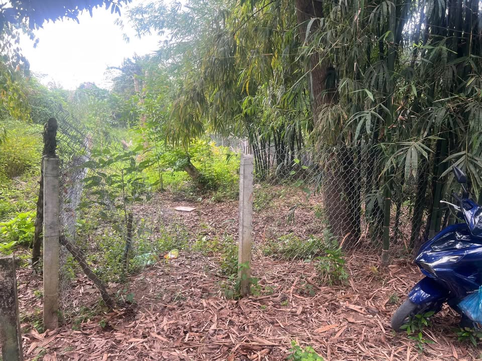 Bán đất Nguyễn Văn Linh, Quận Bình Thủy, 500m² - Đầu tư lý tưởng!