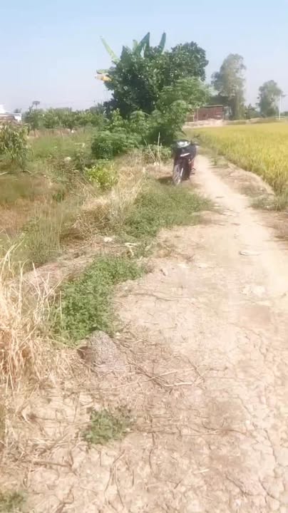 Đất vườn 5.338m² xã Mỹ Quý, Đồng Tháp - Giá chỉ 300 triệu VND!