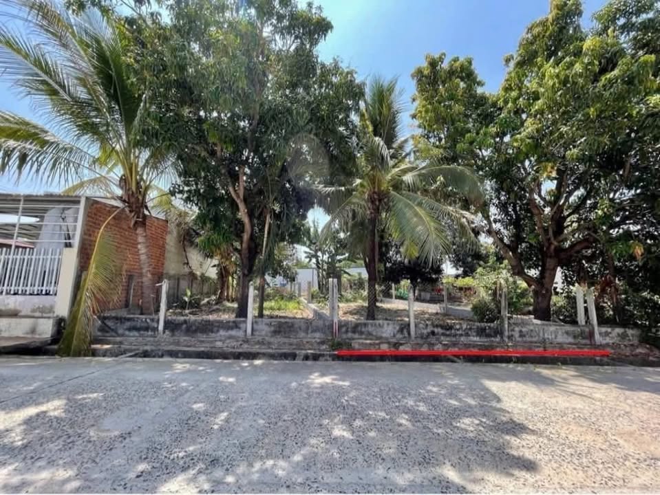 Bán đất mặt tiền Cam Hiệp Nam 223m² giá 1 tỷ - Vị trí trung tâm thuận lợi!