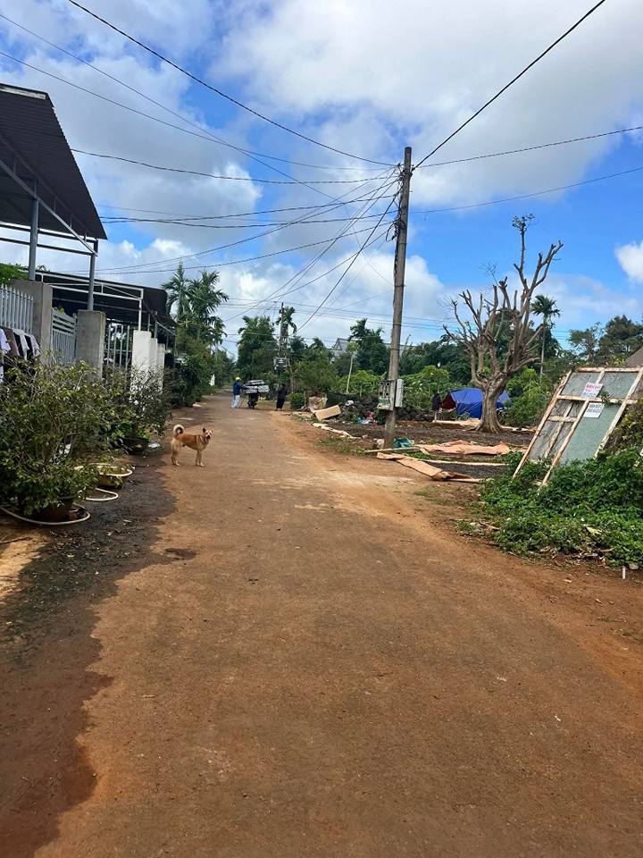 Đất thổ cư Phường Tân Lập, Buôn Ma Thuột 100m² giá 890 triệu - Mặt tiền đường nhựa rộng rãi!