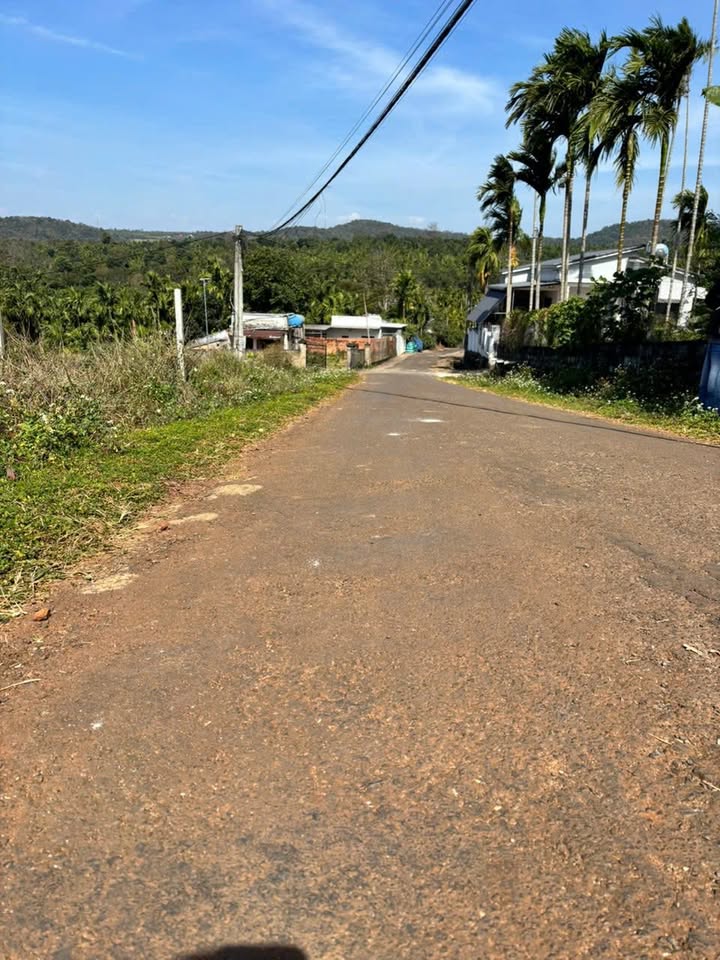 Đất thổ cư Thôn 6A, xã Ea Ktur, Đắk Lắk 260m² giá 28.6 tỷ - Nhanh tay sở hữu!