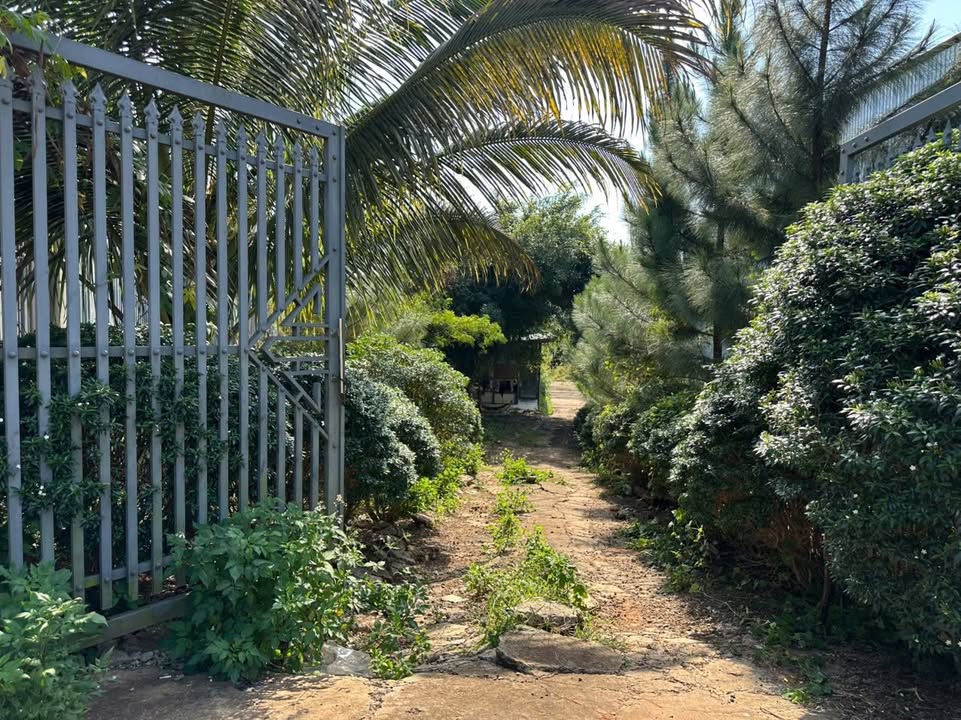 Đất nền mặt tiền Ngô Mây Thị trấn Phước An 1600m² giá 3.999 tỷ - Cơ hội đầu tư tuyệt vời!