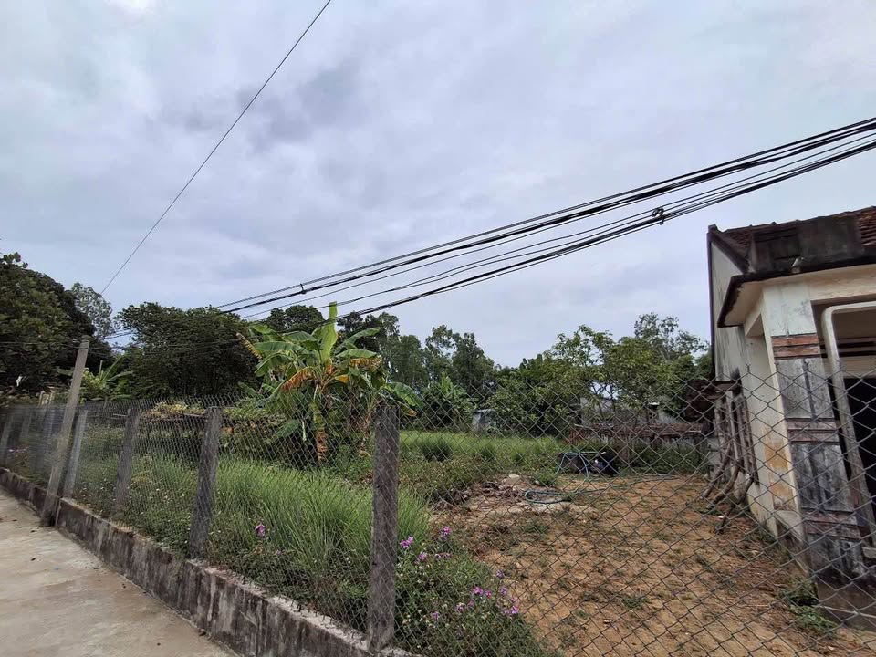 Vườn Nghĩa Hòa Tư Nghĩa 1250m² giá 1 tỷ - Mặt tiền thoáng mát gần chùa Ông!