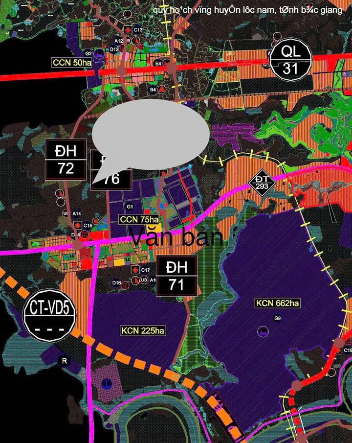 Đất thổ cư thôn Muối, Lục Nam 108m² giá 1 tỷ - Đầu tư sinh lời ngay!