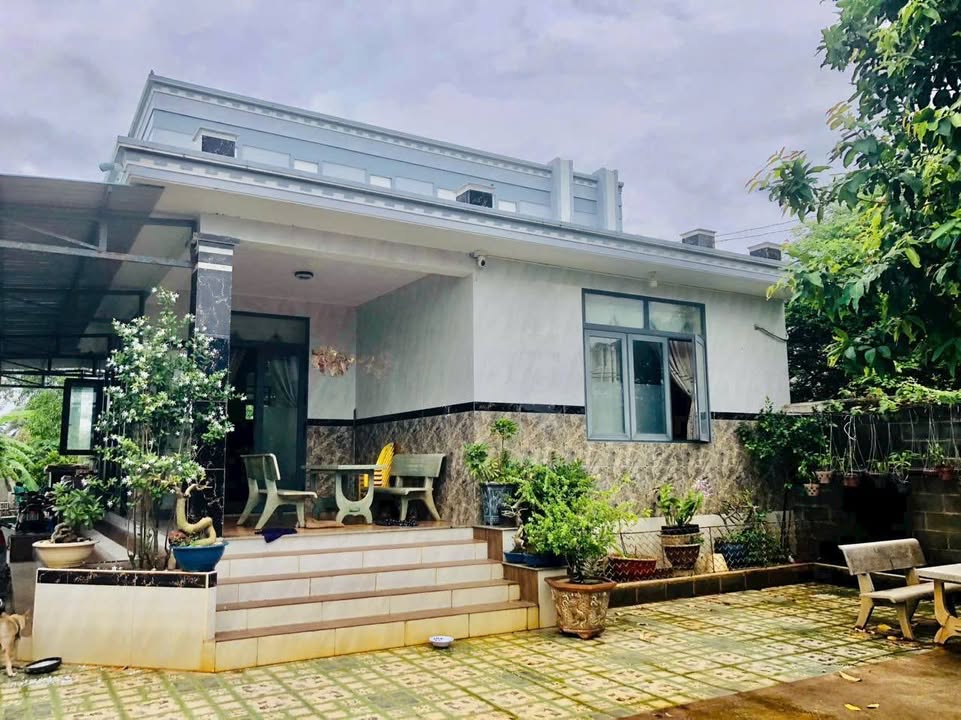 Nhà vườn nghỉ dưỡng Phước Hải 480m² giá 3.5 tỷ - Cách biển chỉ 2km!