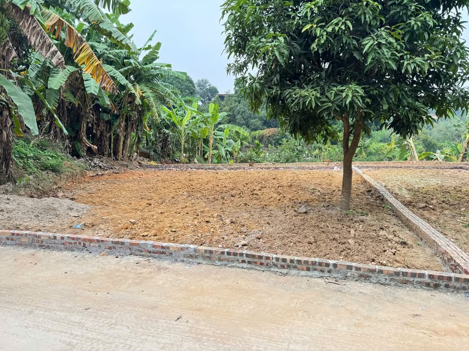 Lô đất đẹp tại phường Trung Sơn Trầm, Sơn Tây 140m² chỉ 1 tỷ - Sẵn sàng đầu tư!