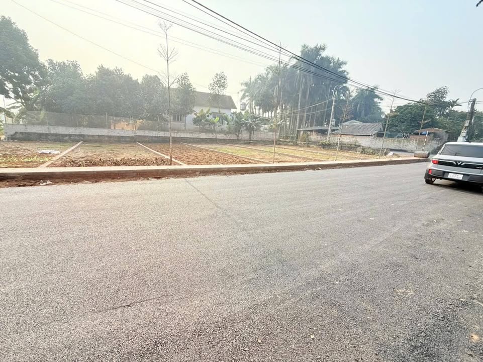 Đất nền Hàng Fo - Cổ Đông Sơn Tây 100m² giá 2-3 tỷ - Vị trí đắc địa cho kinh doanh!