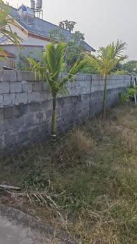 Đất nền xã Hải Thịnh, Kim Sơn, Ninh Bình 95m² giá 799 triệu - Cơ hội đầu tư hấp dẫn!