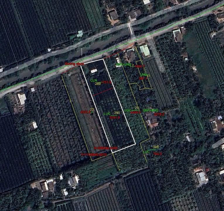 Đất vườn 5000m² tại Bình Ninh, Tam Bình, Vĩnh Long - Giá chỉ 2.25 tỷ!