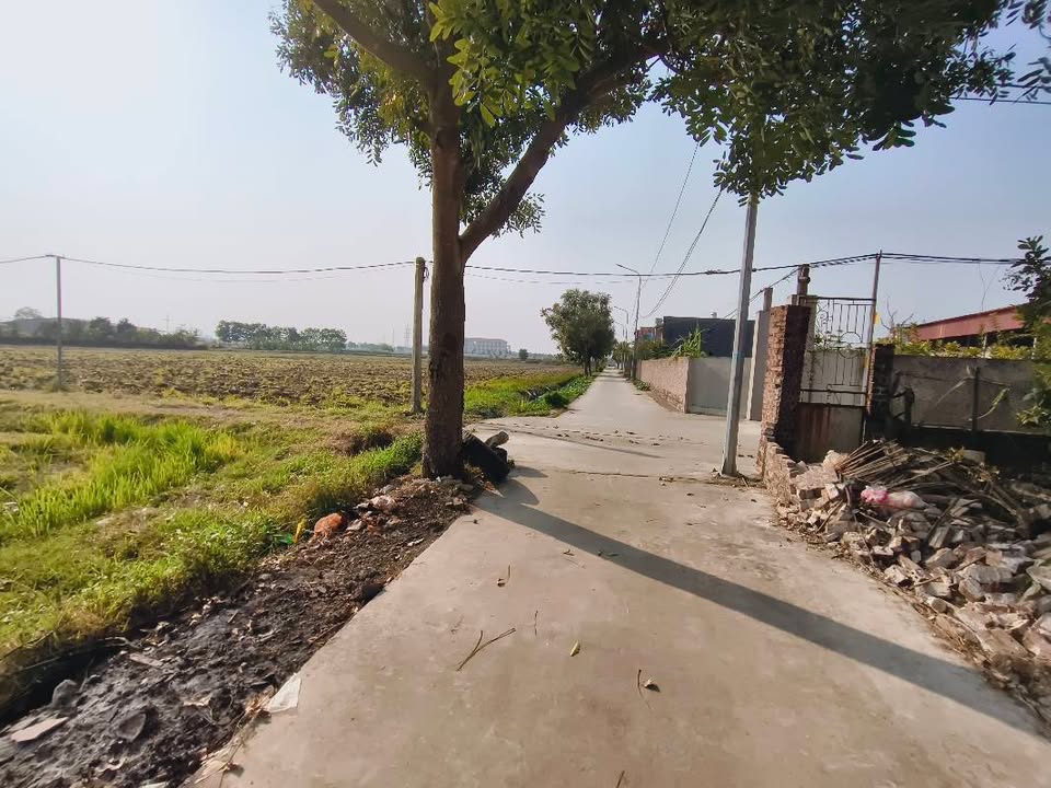 Nhà riêng Cẩm Chàng - Đồng Lương 425m² giá 1.xxx tỷ - Tiện ích đỉnh cao gần UBND!