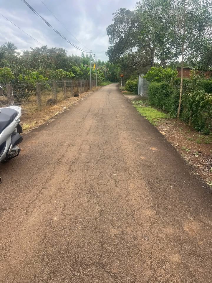 Đất nền 500m² tại Dầu Giây - Giá chỉ 1.2 tỷ, Sổ riêng chính chủ!