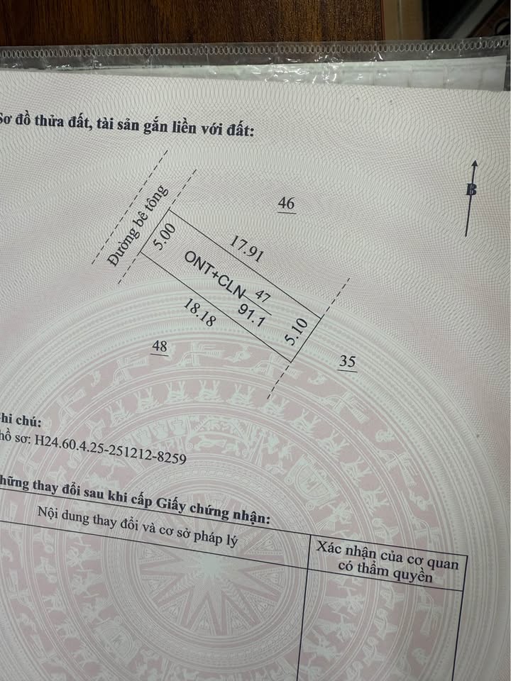 Đất thổ cư 91m² tại Thái Tân, Hải Dương - Giá chỉ vài trăm triệu!