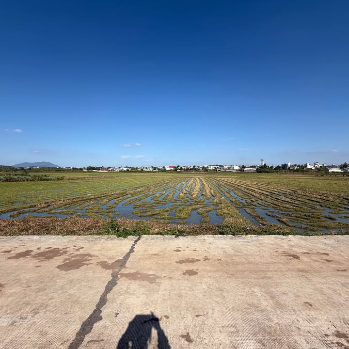 Đất nền hẻm 240 Phạm Ngọc Thạch, 135m² giá 700 triệu - Hướng Đông, view cánh đồng!