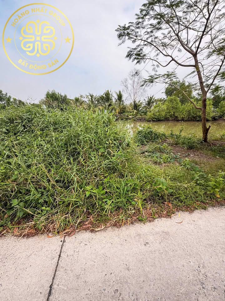 Đất nền Hòa Thành Cà Mau 2464.8m² giá 2.6 tỷ - View sông thoáng mát!