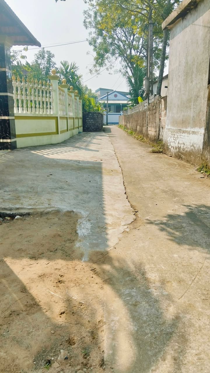 Đất nền Hoằng Thắng 127m² giá 500 triệu - Cơ hội vàng cho đầu tư!