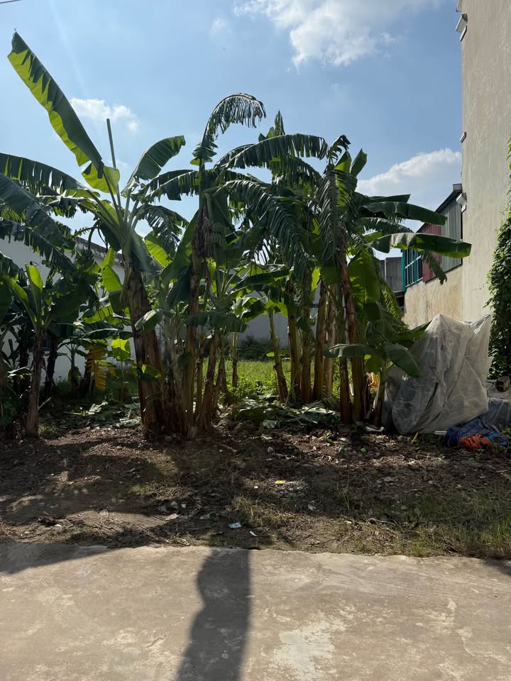 Đất nền Phường Quảng Đông, Thanh Hóa 90m² giá 1.1 tỷ - Mặt tiền 5m, khu vực đông đúc!