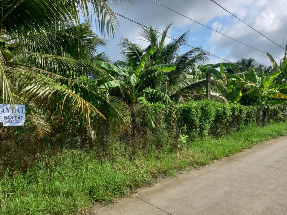 Đất nền 504m² khu dân cư Thị trấn Giồng Trôm, Bến Tre - Giá chỉ 450 triệu!