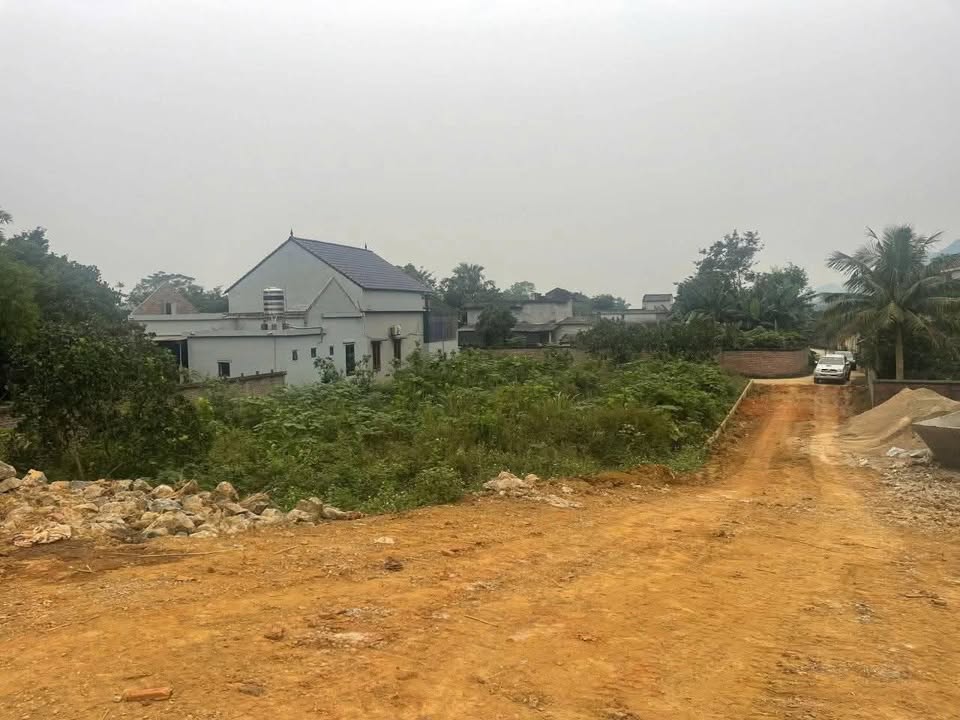 Đất thổ cư 751m² tại Ngọc Lương, Yên Sơn - Giá chỉ 1 tỷ, cơ hội đầu tư tuyệt vời!