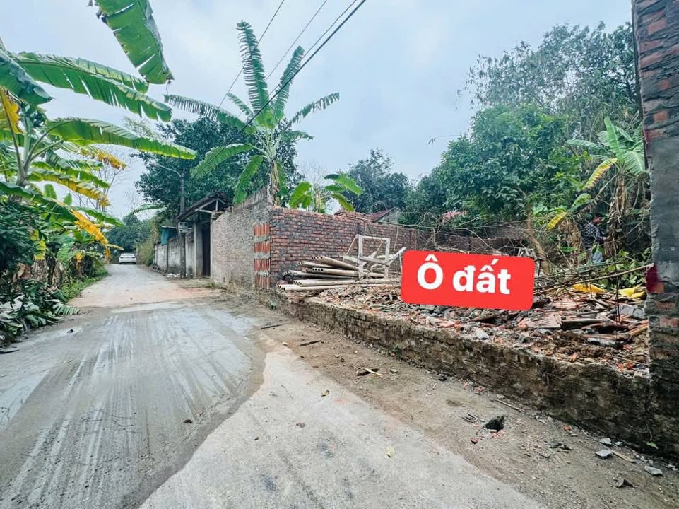 Đất nền Thôn Chũng, Xã Quất Lưu 111m² giá 1 tỷ - Chính chủ bán gấp!