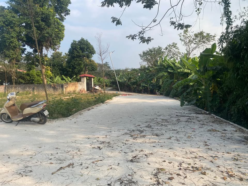 Đất thổ cư 100m² Hoàng Hoa, Tam Dương - Chỉ 400 triệu - Cơ hội đầu tư hấp dẫn!