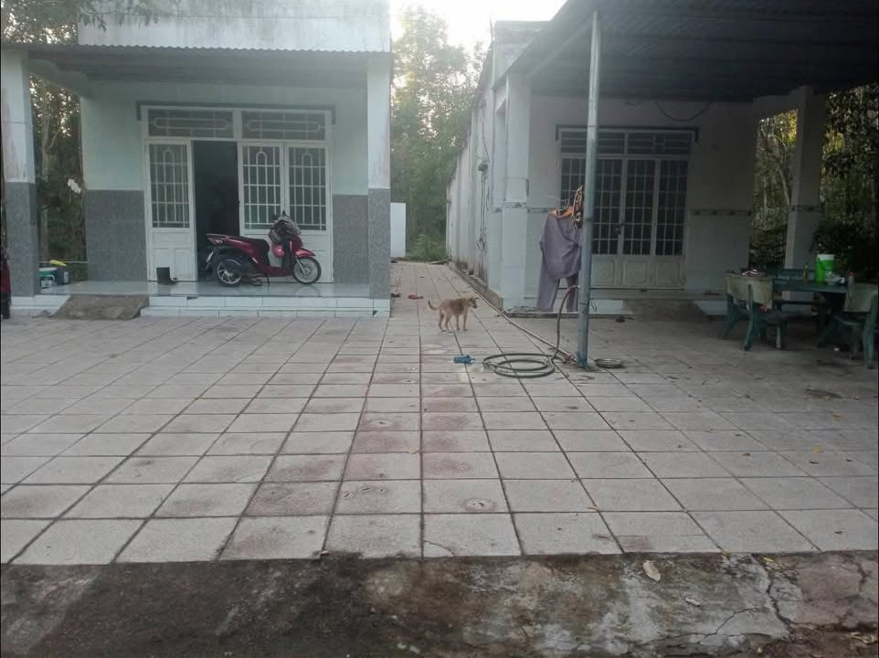 Nhà riêng tại kp5, Thị trấn Dầu Tiếng, 456m² giá 1.2 tỷ - Không gian rộng rãi cho gia đình lớn!