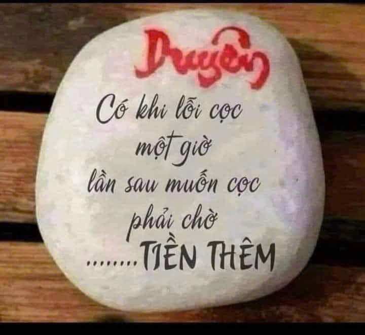 Đất RSX 5 hecta mặt tiền đường Vành đai Nam Kỳ Khởi Nghĩa - Pháp lý đầy đủ, giá thương lượng!