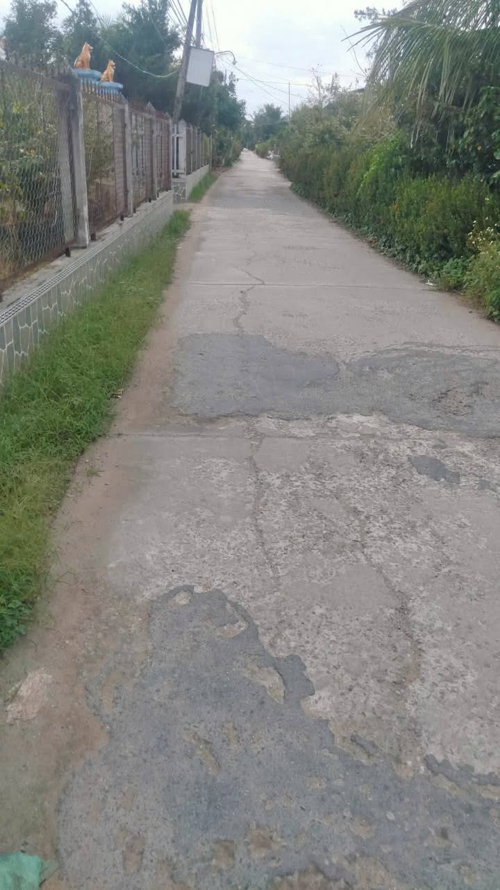 Đất Farm 3.5 Công Xã Tam Bình Huyện Cai Lậy 900 triệu - Tích hợp nhiều tiện ích!