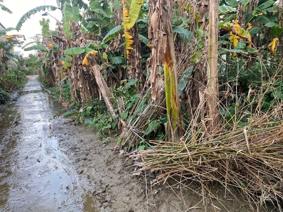 Đất nền Điện Nam Trung 80m² giá 850 triệu - Cơ hội vàng cho nhà đầu tư!