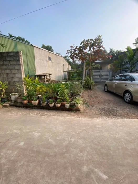 Đất nền khu tái định cư Tân Long 194m² giá 1.1 tỷ - Đầu tư sinh lời tiềm năng!